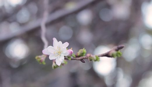 努力と成果は必ずしも正比例しない