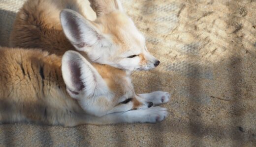 自分とつながれば人ともつながる