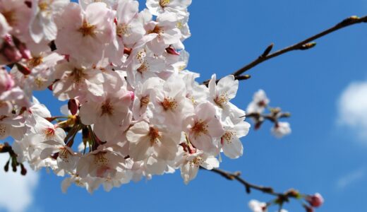 環境が変わる時は成長の時